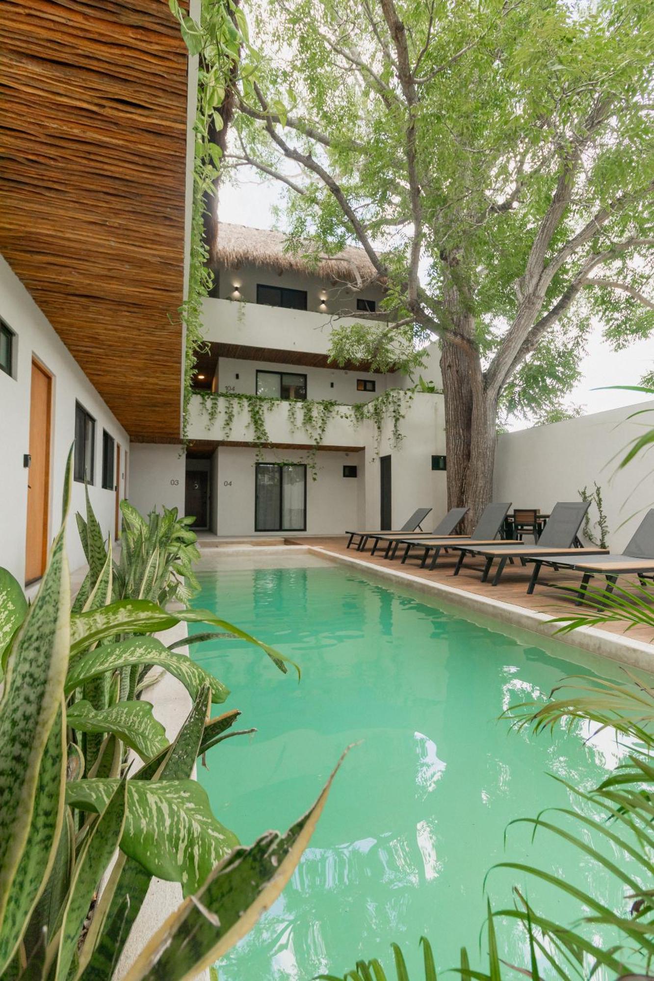 Cozy Apartment With Pool In Bacalar Center Exterior foto